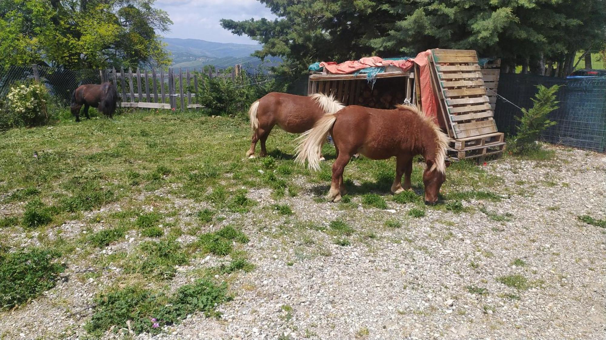 Bed and Breakfast Agribnb Casa Furnaredda Laurenzana Zewnętrze zdjęcie