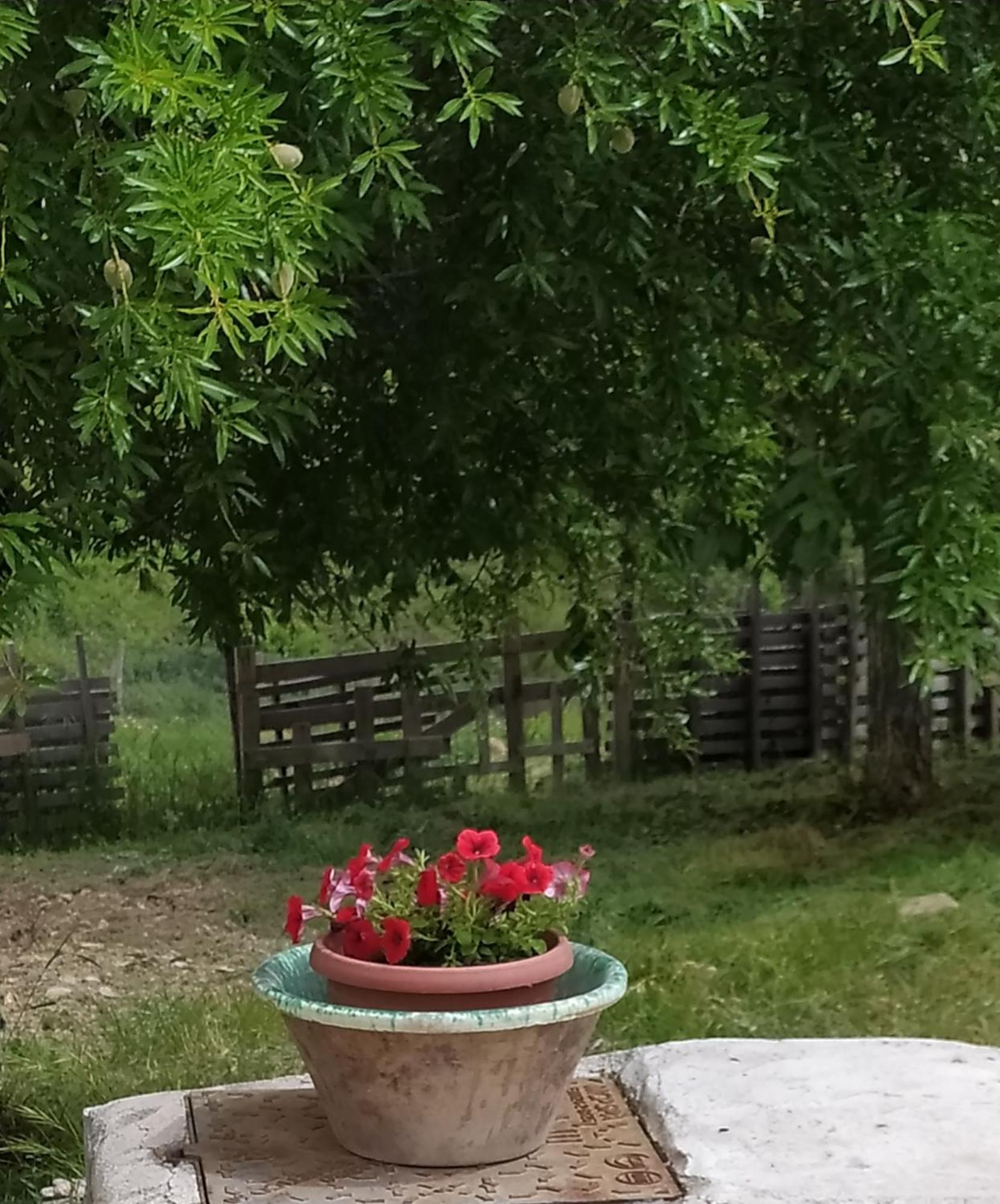 Bed and Breakfast Agribnb Casa Furnaredda Laurenzana Zewnętrze zdjęcie